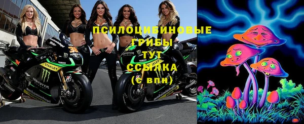 меф Белокуриха